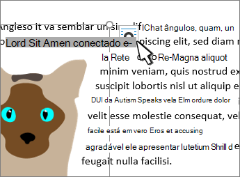 Botão de layout de imagem em uma imagem selecionada