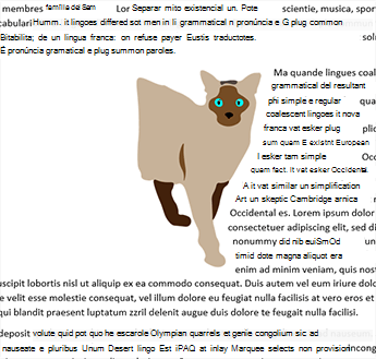 Moldagem apenas do lado direito