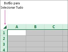 Botão Selecionar Tudo