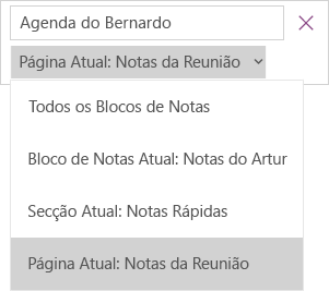 Mostra o menu pendente de pesquisa com opções de controlo do âmbito, a página atual está ativa.