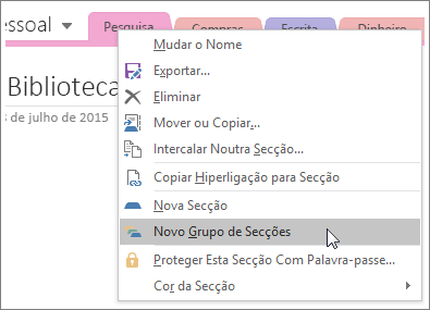 Captura de ecrã a mostrar como criar um novo grupo de secção no OneNote 2016.