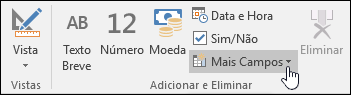 Captura de ecrã do grupo Adicionar & Eliminar no separador Campos ribbbon.