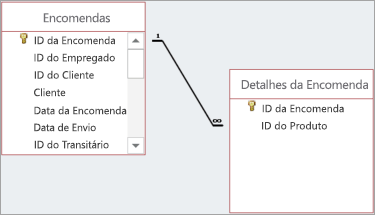 As relações são mostradas por linhas desenhadas entre os campos principal e subordinado.