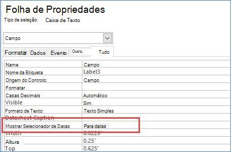 Mostrar propriedade seletor de datas na Folha de Propriedades de um formulário