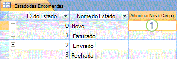 Folha de Dados no Access com a coluna Adicionar Novo Campo