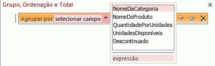 Lista de campos no painel Grupo, Ordenação e Total