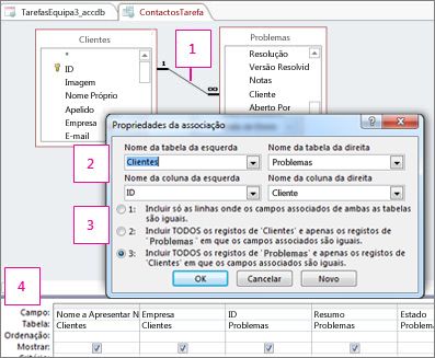 A caixa Propriedades da Associação.