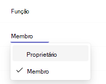 Captura de ecrã que mostra o proprietário.