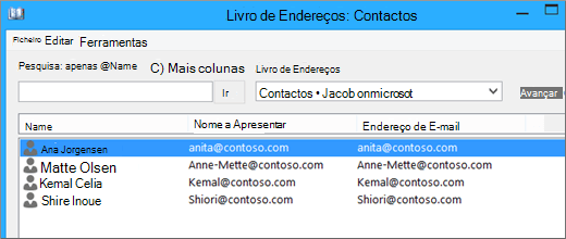 Quando os seus contactos forem importados do Gmail do Google para Office 365, irá vê-los listados no Livro de Endereços: Contactos