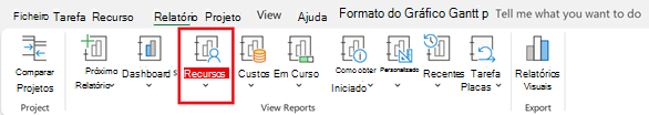 Botão Recursos no separador Relatório
