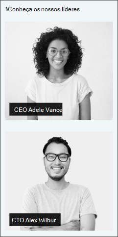 Imagem da peça Web Perfis de Pessoas no modelo de site de liderança