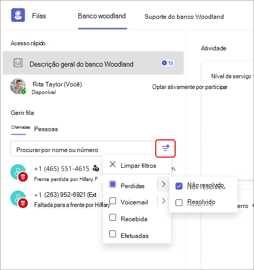 Captura de ecrã a mostrar os detalhes do filtro Filas chamadas na aplicação.