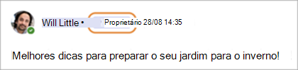 Captura de ecrã a mostrar distintivos de proprietário da comunidade no Teams (Gratuito).