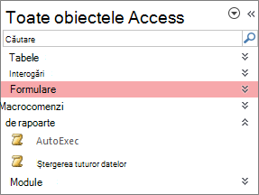 Panoul de navigare Access