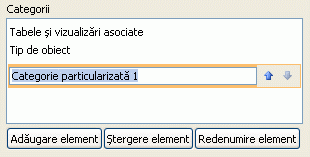 O categorie particularizată nouă în Panoul de navigare