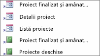 Comenzi rapide într-o vizualizare particularizată de categorie