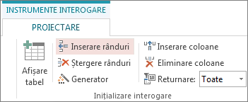 Butonul Inserare rânduri de pe fila Instrumente interogare - Proiectare