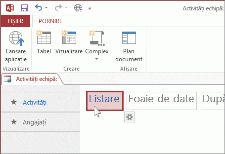 Selectarea unei vizualizări în Access.