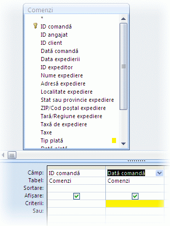 Criterii DatăComandă