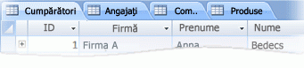 Obiect cu filă în Access 2007