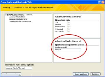 Parametru conexiune de date serviciu Web