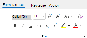 Grupul Formatare text din Outlook.