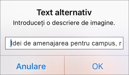 Outlook pentru iOS - meniul de text alternativ pentru imagine