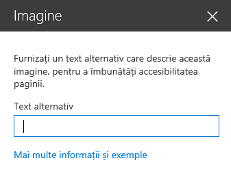 Captură de ecran a casetei de dialog Text alternativ imagine în SharePoint.