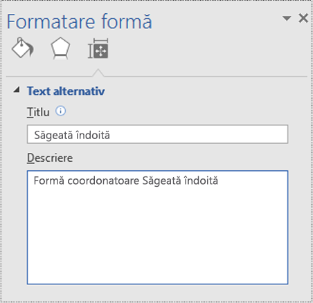 Caseta de dialog Text alternativ pentru o formă coordonatoare din Visio.