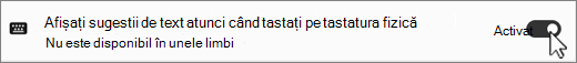 Captură de ecran Win11 Show text suggests for phycal keyboard.