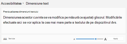 Windows 11 Cursor dimensiune text