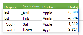 Formulă matrice cu zona de ieșire evidențiată cu o bordură albastră