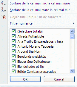 Filtrare automată