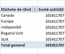 Exemplu de PivotTable