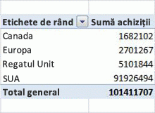 Exemplu de PivotTable