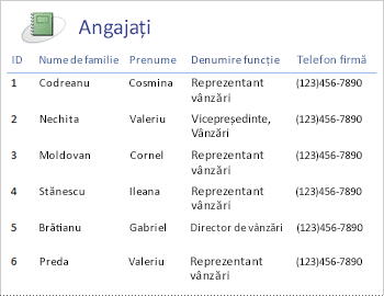 Employees report in a tabular layout