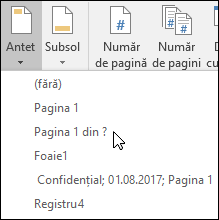 Opțiuni predefinite pentru antet & subsol