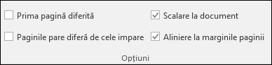 Opțiuni Antet și subsol din fila Proiectare din panglică
