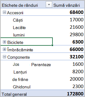 Exemplu de raport PivotTable cu Categorii în secțiunea de rânduri și Luni în secțiunea de coloane