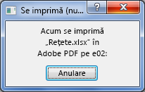 Caseta de dialog Imprimare apare atunci când trimiteți un document la imprimantă.