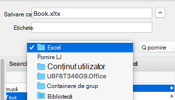 imagine afișând dialogul Salvare ca