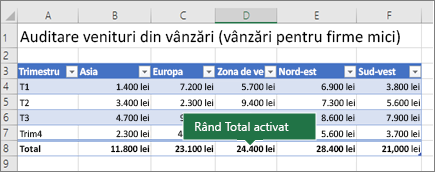 Tabel Excel cu Rândul Total activat