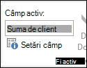 Setările câmpului în panglică