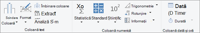 Grupurile de tipuri de date de pe fila de panglică Adăugare coloană