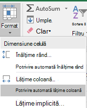 Imagine a casetei de pornire > Formatare > potrivire automată lățime coloane