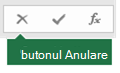 Imaginea butonului Anulare din bara de formule