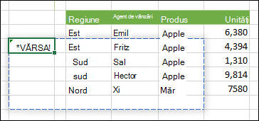 Imagine cu un #SPILL! eroare care indică faptul că o ieșire de formulă matrice se confruntă cu un blocaj care împiedică vărsarea acesteia.