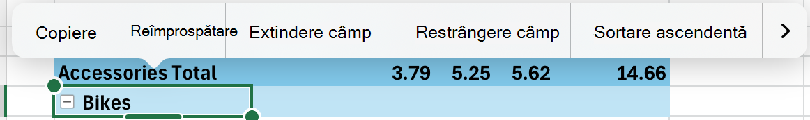 Extindeți sau restrângeți un câmp PivotTable pe iPad prin meniul contextual.
