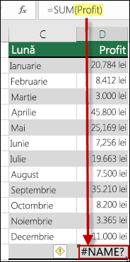Eroarea #NUME? cauzată de o greșeală de tastare în numele definit în sintaxă