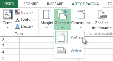 Pe fila Pornire, faceți clic pe Orientare